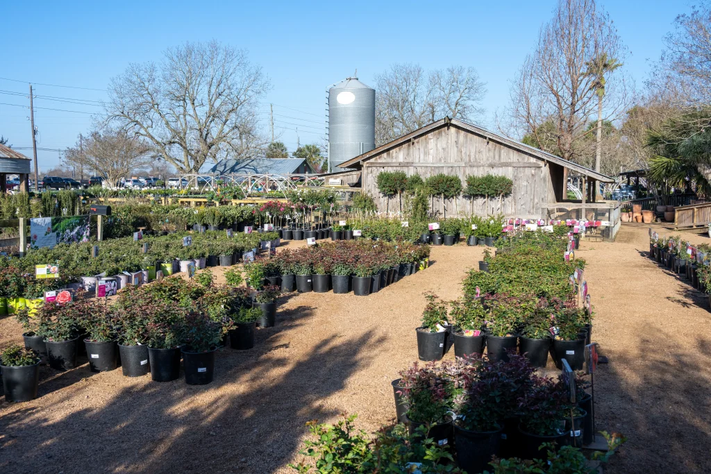 Edible Flower Gardening — Enchanted Gardens